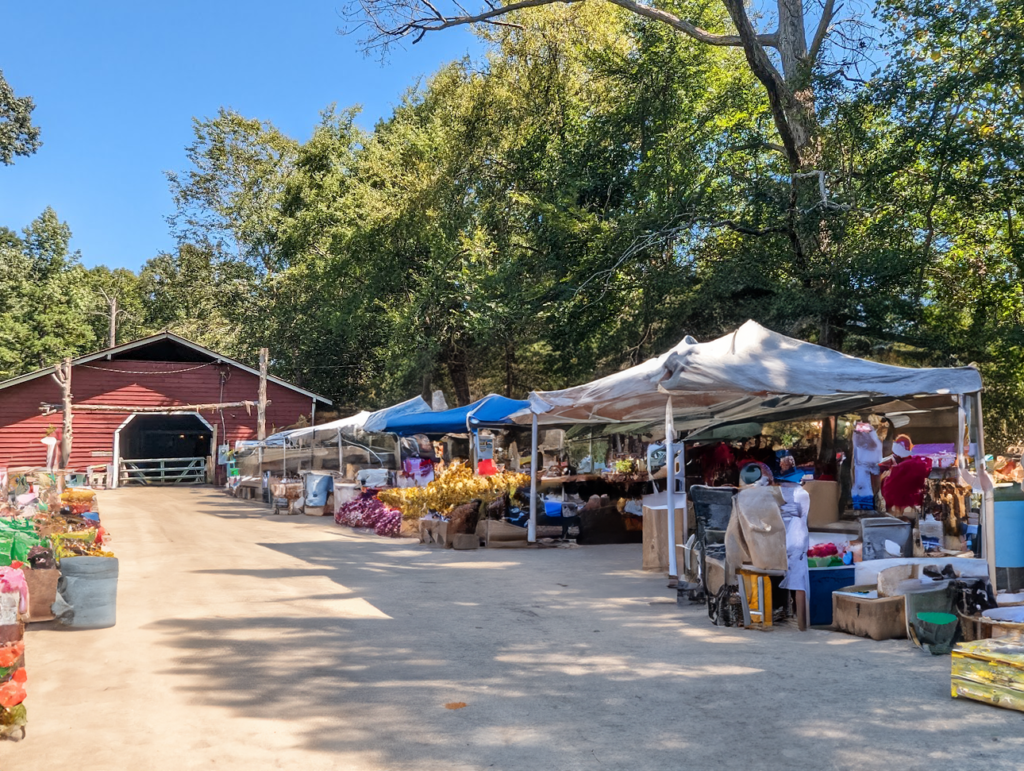 FrontGarden_InternationalFleaMarket-1.png