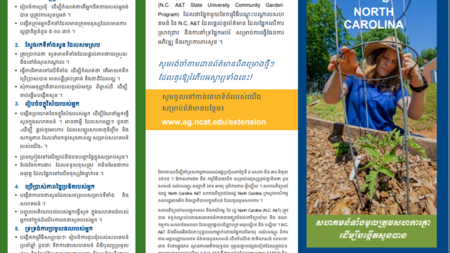 Educational_Materials_Brochure_Translation-1