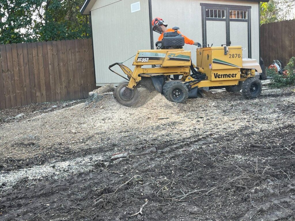 StumpGrind2